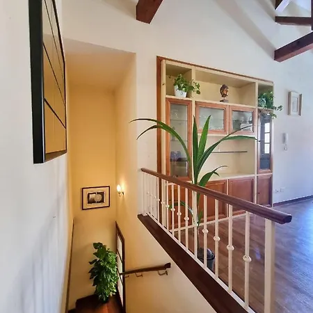 Apartment Botanic *