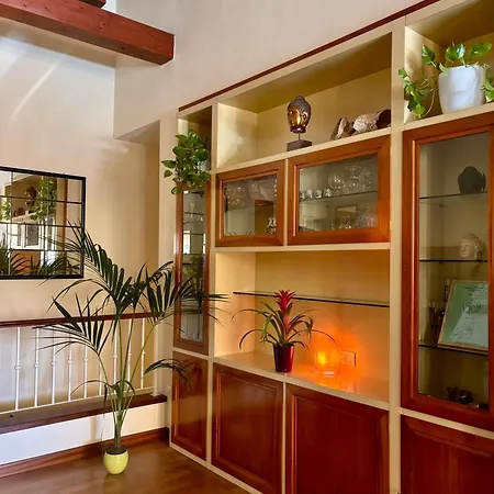 Apartment Botanic *