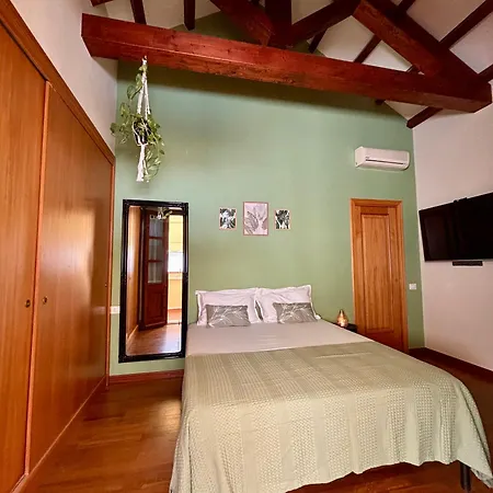 Botanic Apartment